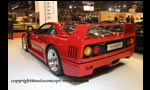 FERRARI F40 and Competition F40 GTE and F40 LM 1987 -1992